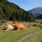 The Lake Cottage in Gascony France - Créon-dʼArmagnac