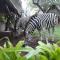 Mispel House self catering holiday accommodation
