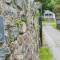 Cae Mab Dafydd