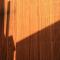 Boardhousing Foto: Boardhousing