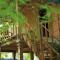 Sigiriya Free View Tree House & Villa - 锡吉里亚