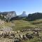 Vercors en Vert , chambres d'hôtes de charme - Saint-Romans