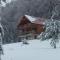 Villa Forestside