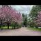 Resort type home in Old Brookvile !!! - Glen Head Resort type home in Old Brookvile !!! - Glen Head