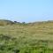 Søndervig Camping & Cottages