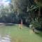 Ripples Retreat - Riverside - Piopio