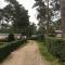 Forest Family 6 persoons op 5 sterren park