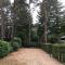 Forest Family 6 persoons op 5 sterren park