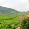 12Sud Face Vosges Comfortable Vineyard Free Wifi - أمرشفير