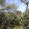 The Ponds on Greenhill - Waikanae