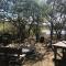 Kameelkop Nature Reserve Lodge & Chalets - Wasbank
