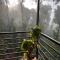 Coffee Cradle Wayanad Luxuorios Private Tree House - Inside 2 Acre Coffee Plantation