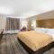 Quality Inn & Suites Carlsbad Caverns Area