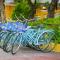 La Charm Hoi An Hotel & Spa