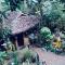Jungleview Home Stay