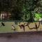 Jungleview Home Stay