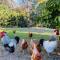 Kosmo’s Studio: City Style in a Retreat Setting!