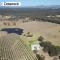 Olives and Vines at Majors Lane - Lovedale