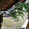 Rustic home Mia