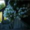 Rustic home Mia
