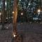 SAUNA FOREST CABIN 軽井沢 御代田　MORI-ASOBI - Oiwake