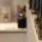 Annecy apt w car park near downtown and lake - 安锡