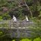 Six Senses Con Dao - Turtle Island Paradise