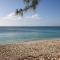 Luxury 1 bed apartment near Seven Mile Beach at The Grove - Villa Nature Bliss