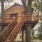 Tree Vill