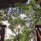 Tree Vill