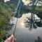 Lakeside Oasis/Golf Cart/Beach