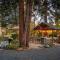 Creektown Cottages The Dogwood