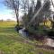 16th Cent,6 bed house,15 People - Llangwm-isaf