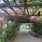 Bougainvilla