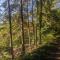 WaldPhantasia - Nationalpark Eifel - Jakuzzi mit Fernblick - Steilhang - Naturlage - Nideggen