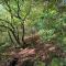 WaldPhantasia - Nationalpark Eifel - Jakuzzi mit Fernblick - Ste