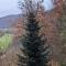 WaldPhantasia - Nationalpark Eifel - Jakuzzi mit Fernblick - Ste