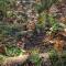 WaldPhantasia - Nationalpark Eifel - Jakuzzi mit Fernblick - Ste