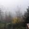 WaldPhantasia - Nationalpark Eifel - Jakuzzi mit Fernblick - Ste