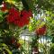 Lodges & Nature - 47