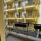 C.3 Anemone Lux_Apartment - Soluň