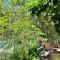 Orchid Cottage