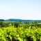 Logis Hostellerie des Monts Jura photo 8