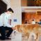 Novotel Lucknow Gomti Nagar