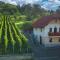 Vineyard Cottage Pyramid - Happy Rentals - Dobrnič