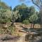 Maison en pleine nature -Domaine des mille pierres