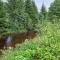 River Run Ranch - Telemark - Drangedal