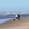 Romantisch Huisje nabij het strand met uitzicht op de tulpenvelden