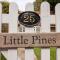 Little Pines - Scarborough