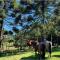 Fazenda Santa Rita Turismo Rural